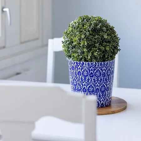 公寓 Borg Isolinna, Spacious 2-Room Apt 波里