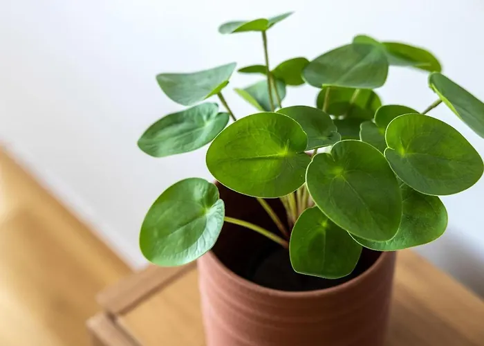 Borg Isolinna, Spacious 2-Room Apt * 波里